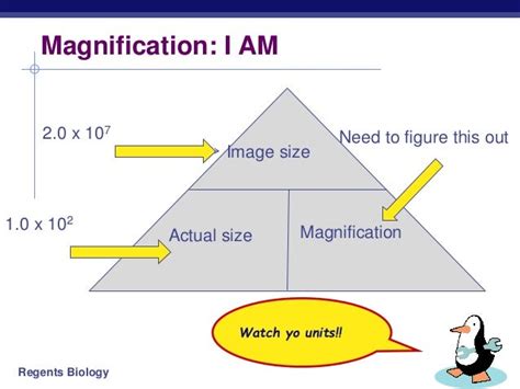 units for magnification